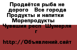 Продаётся рыба не дорого - Все города Продукты и напитки » Морепродукты   . Чувашия респ.,Шумерля г.